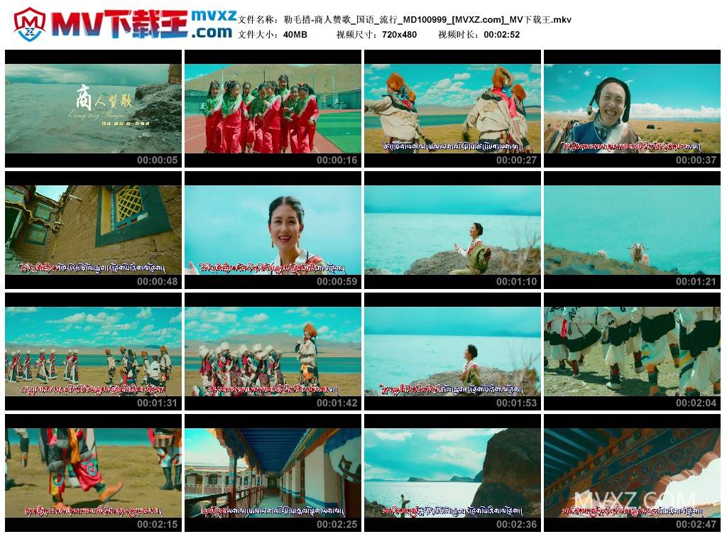 勒毛措-商人赞歌_国语_流行_MD100999